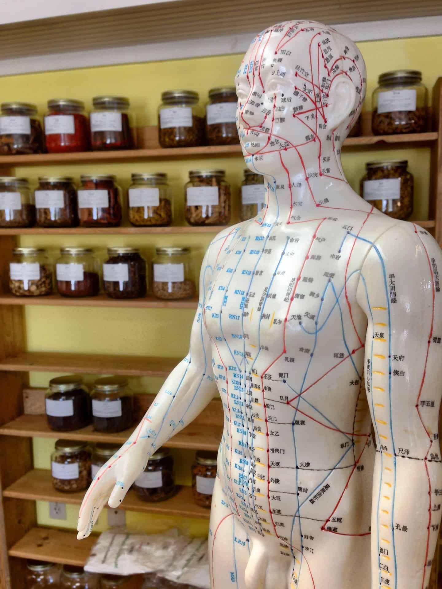 L'Acupuncture, Comprendre cette Médecine